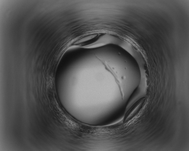 X0000052650993200507160218