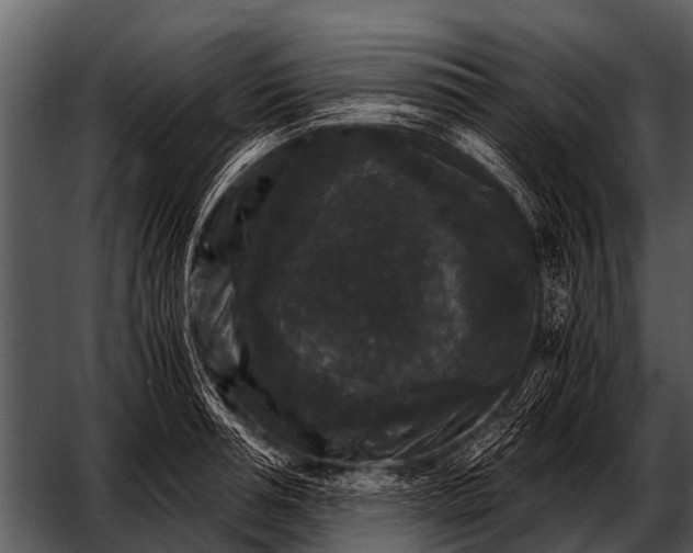 X0000052650994200507160218