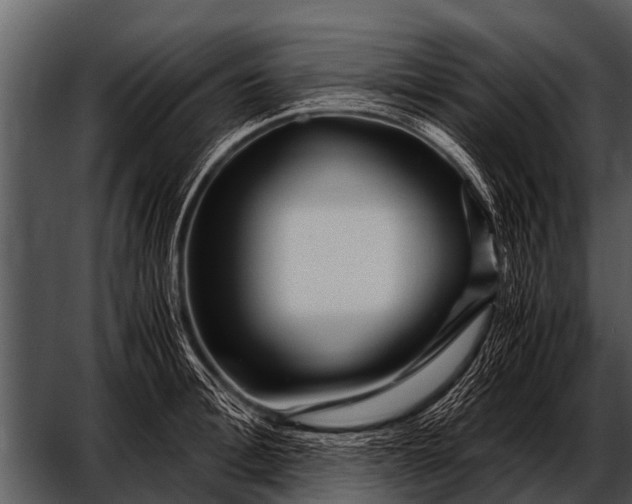 X0000052650996200507160218