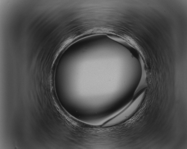 X0000052650997200507160218