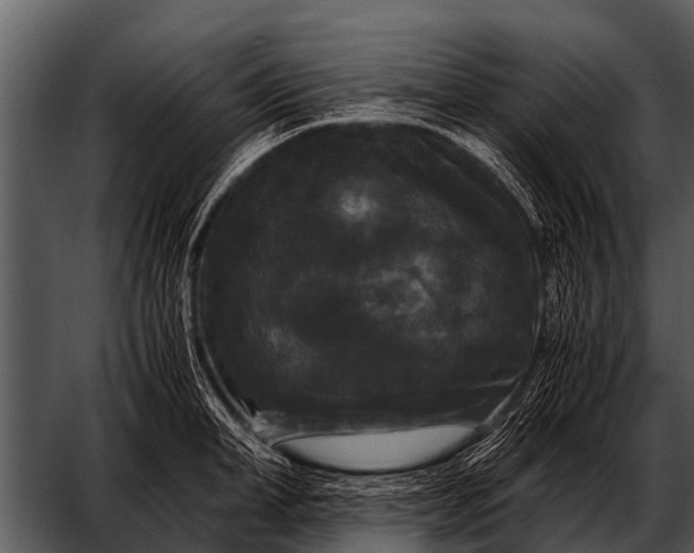 X0000052650998200507160218