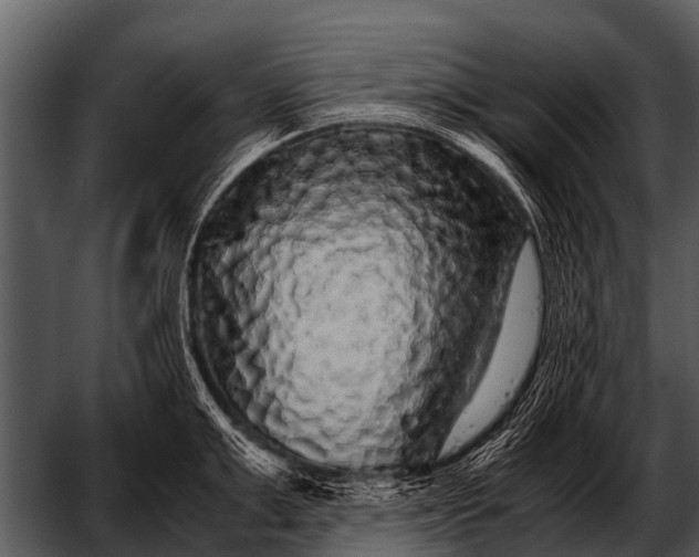 X0000052650999200507160218