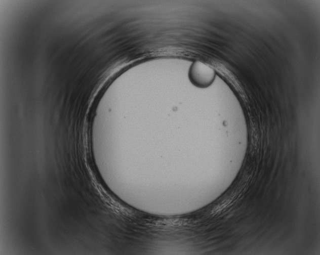 X0000052651000200507160218