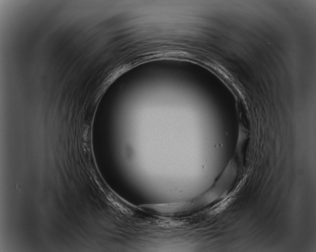 X0000052651001200507160218