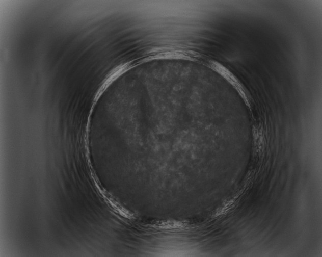 X0000052651002200507160218