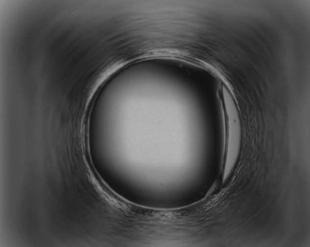 X0000052651003200507160218