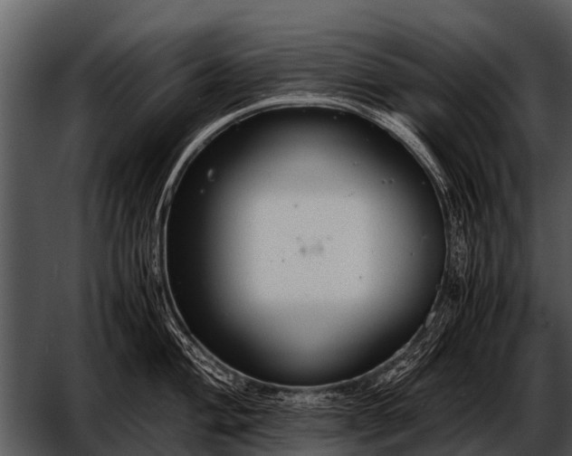 X0000052651004200507160218