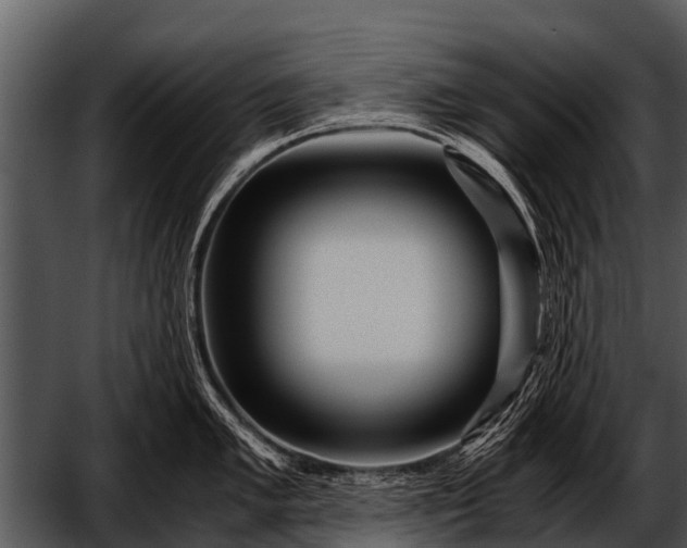 X0000052651005200507160218