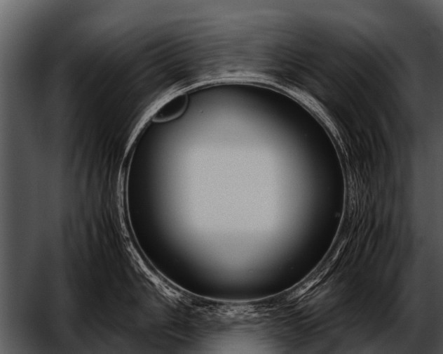 X0000052651006200507160218