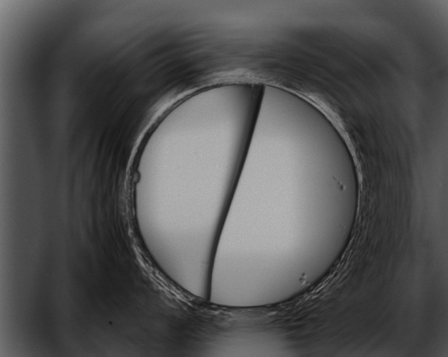 X0000052651008200507160218