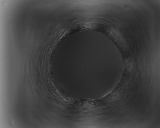 X0000052651009200507160217