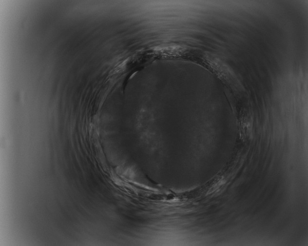 X0000052651010200507160217