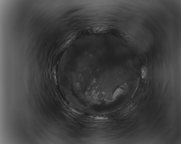 X0000052651011200507160217