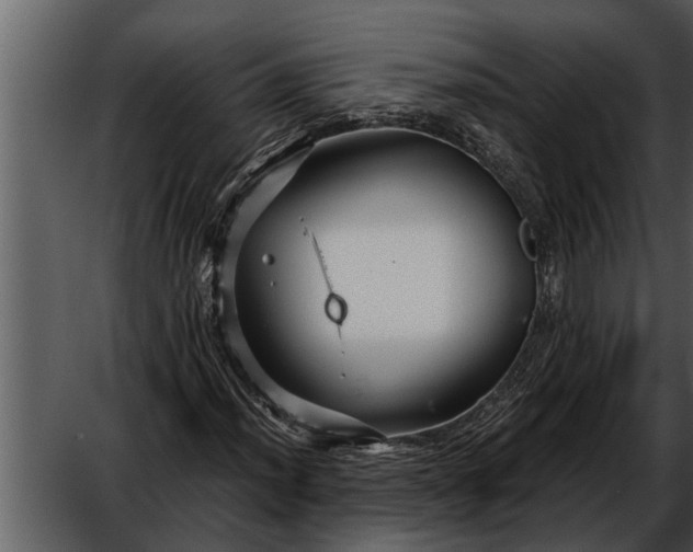 X0000052651012200507160217