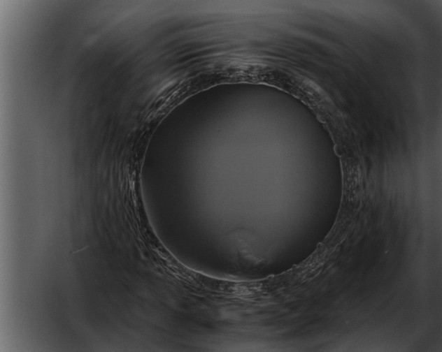 X0000052651013200507160217