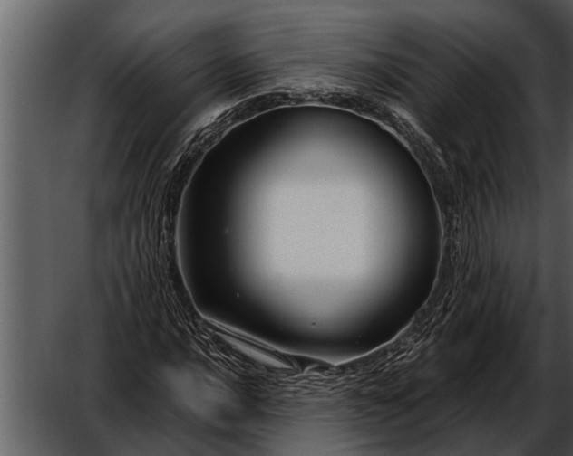 X0000052651016200507160217