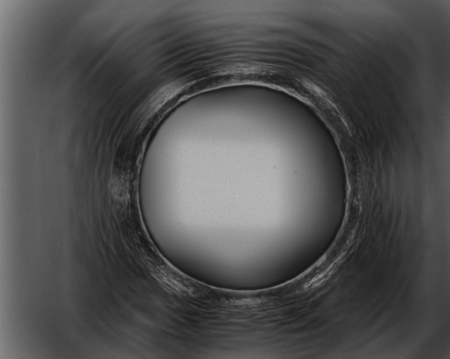 X0000052651017200507160217