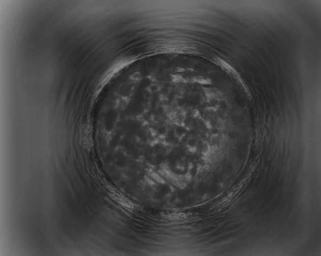 X0000052651019200507160217