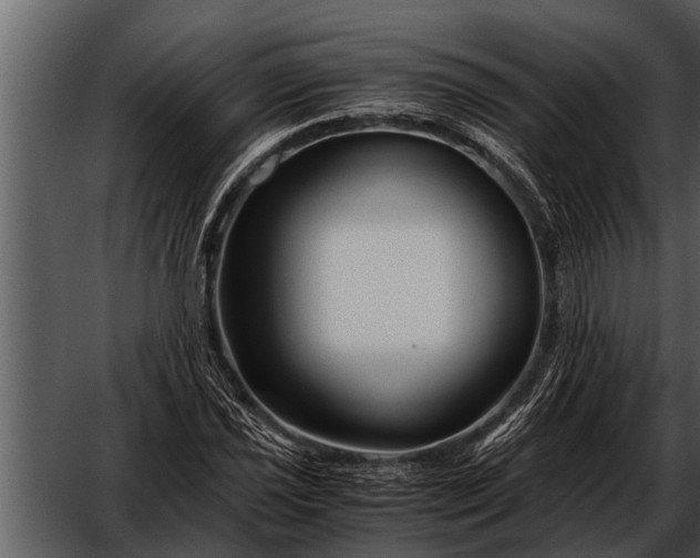 X0000052651021200507160217