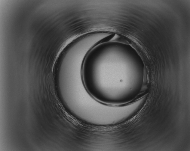 X0000052651022200507160217