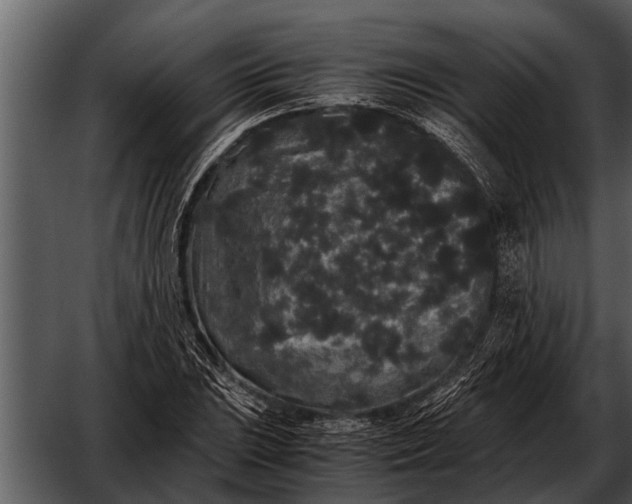 X0000052651023200507160217