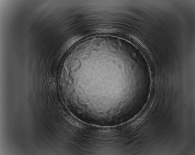 X0000052651025200507160217