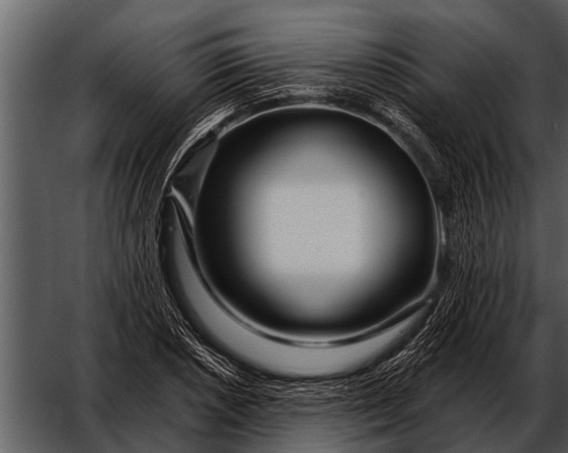 X0000052651026200507160217