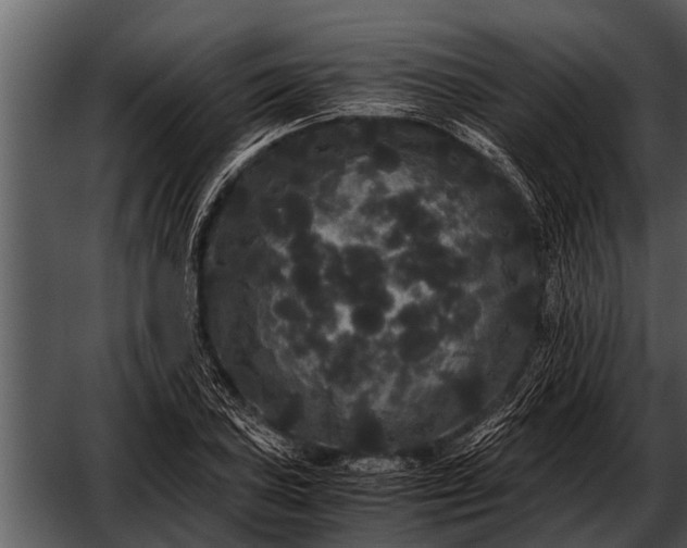 X0000052651027200507160217