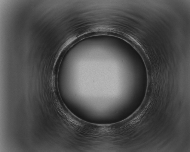 X0000052651029200507160218