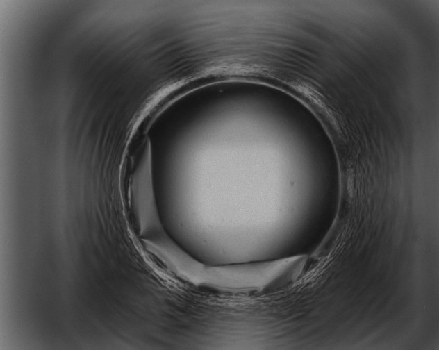 X0000052651030200507160218