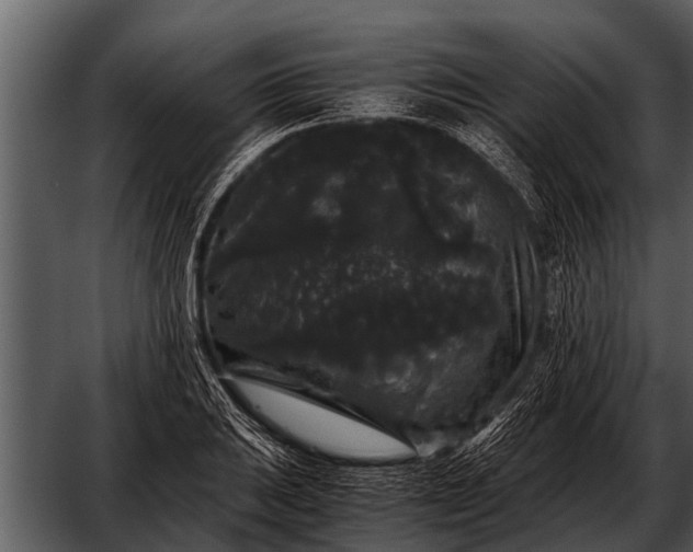 X0000052651031200507160218