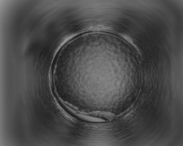 X0000052651032200507160218