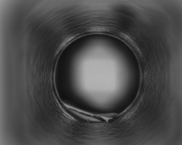 X0000052651033200507160218