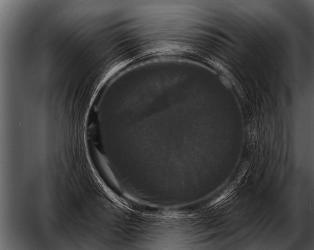 X0000052651034200507160218