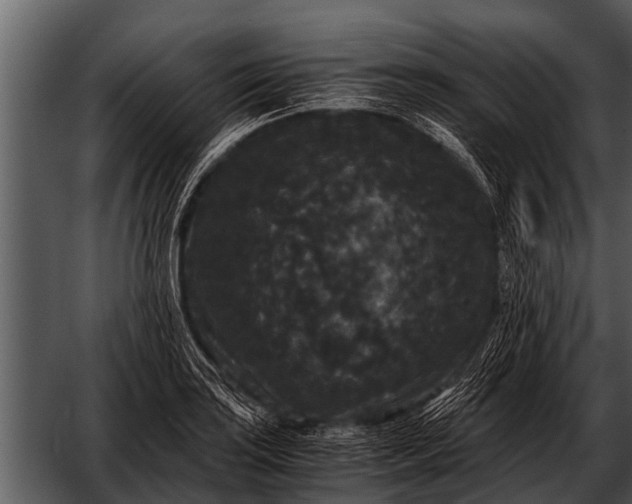 X0000052651035200507160218