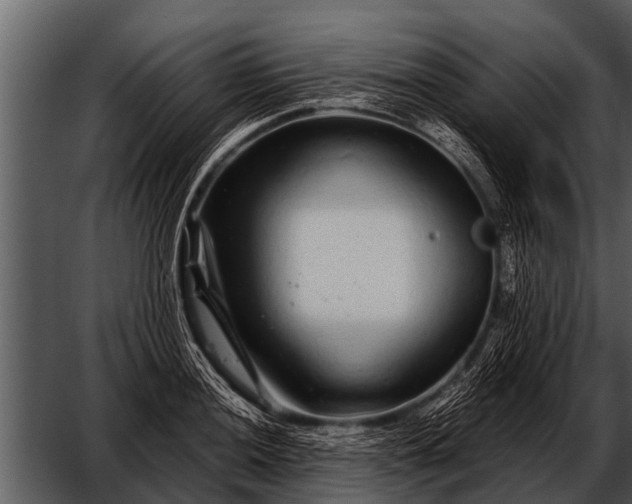 X0000052651036200507160218