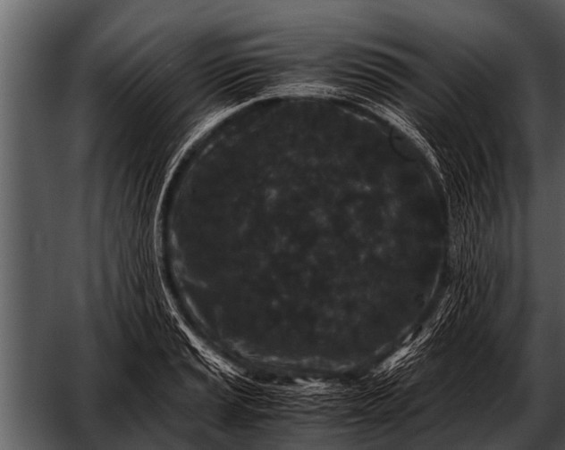 X0000052651037200507160218