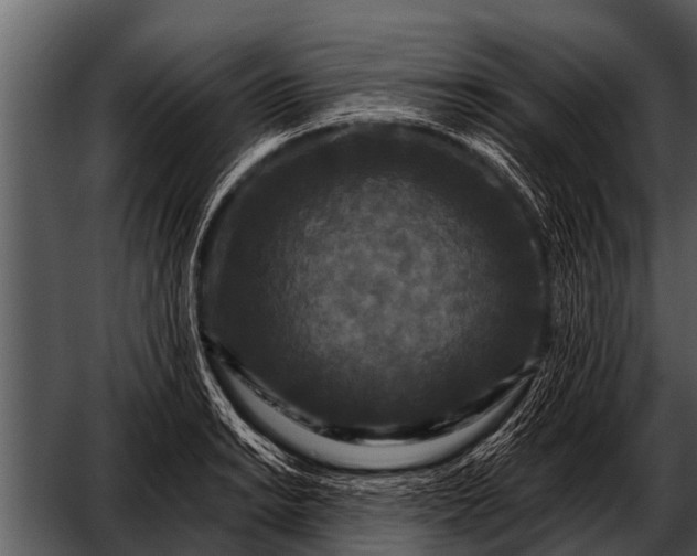 X0000052651038200507160218