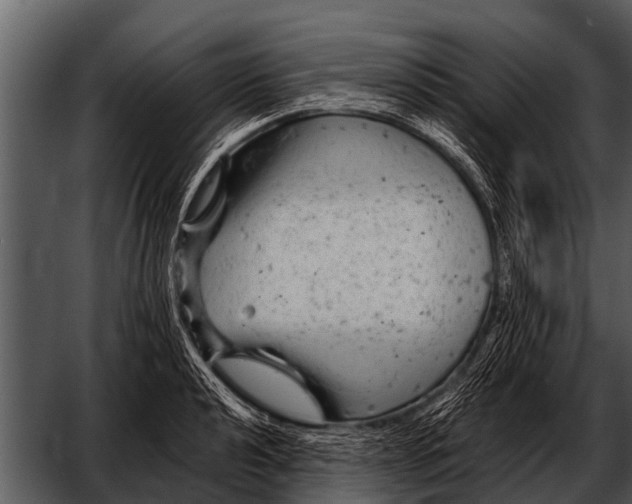 X0000052651040200507160218