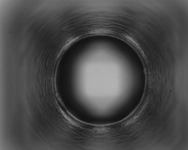 X0000052651041200507160218