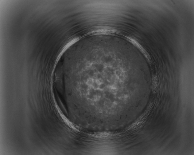 X0000052651042200507160218