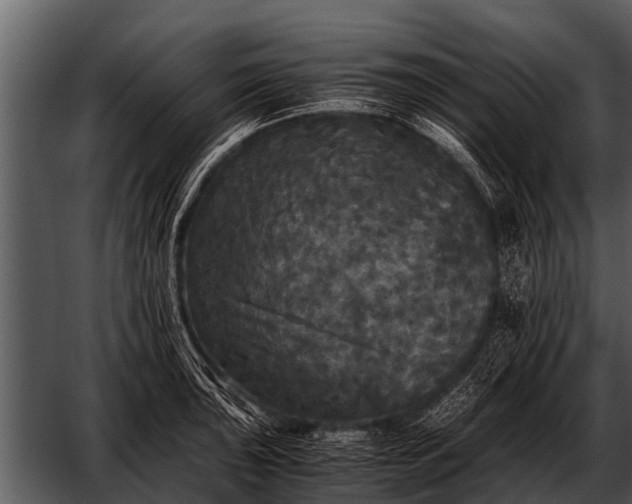 X0000052651043200507160218