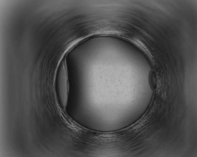 X0000052651044200507160218