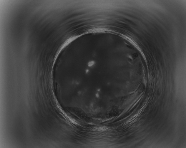 X0000052651045200507160218