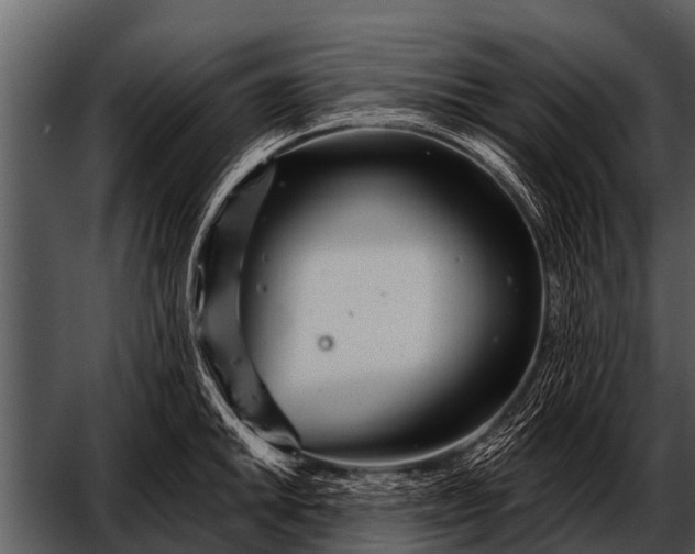 X0000052651046200507160218