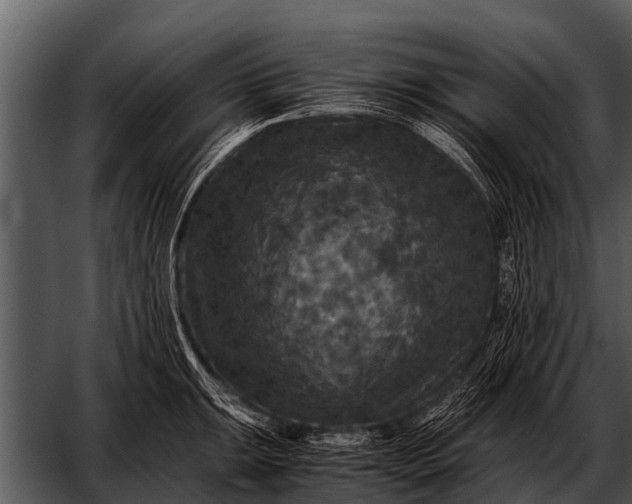 X0000052651047200507160218