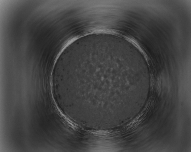 X0000052651048200507160218