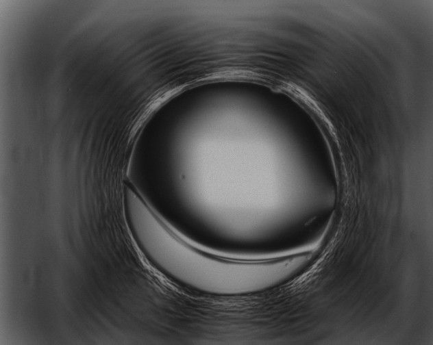 X0000052651049200507160218