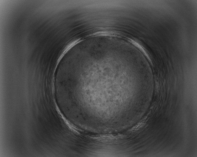 X0000052651050200507160218