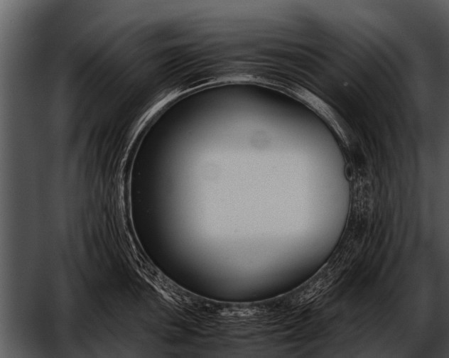 X0000052651051200507160218